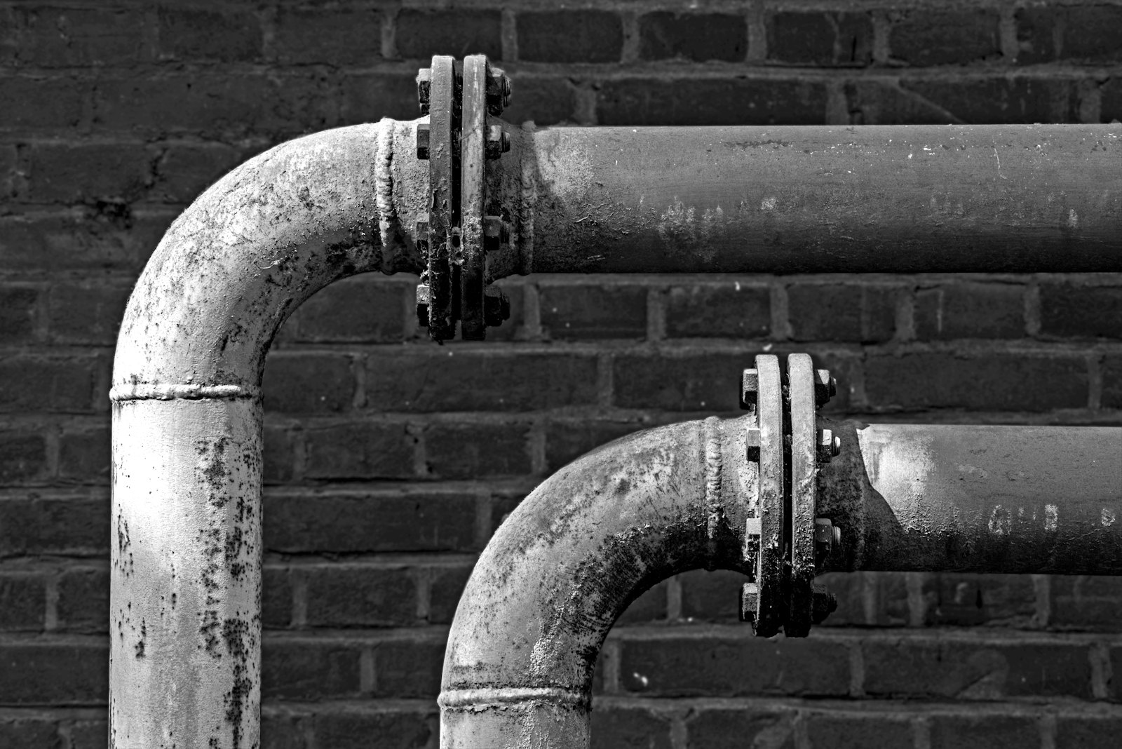 Firefly plumbing & treatment — plumber in Marietta, GA